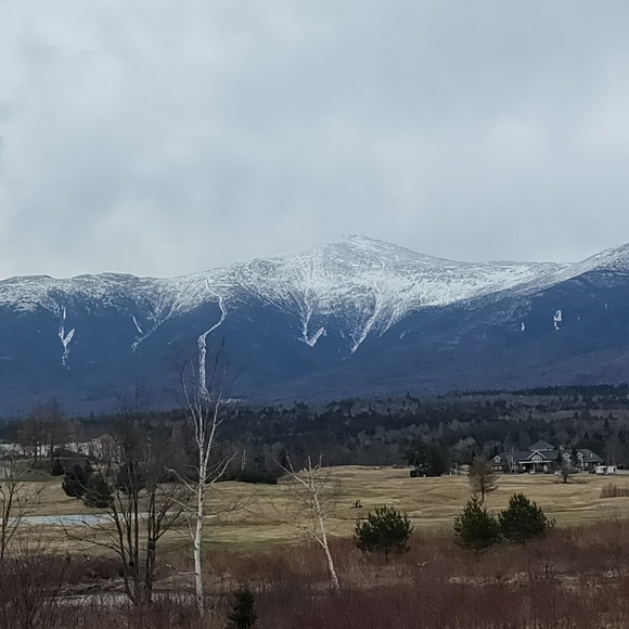 Meet your Posher, Vanessa - Picture 1 of 3